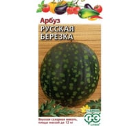 Арбуз ГАВРИШ Русская березка 10 шт. Н22 10717542