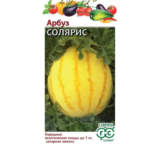 Арбуз ГАВРИШ Солярис 5 шт. с желтой мякотью Н24 1071861002 1