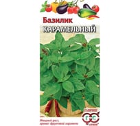 Базилик ГАВРИШ Карамельный 0,3 г 002216