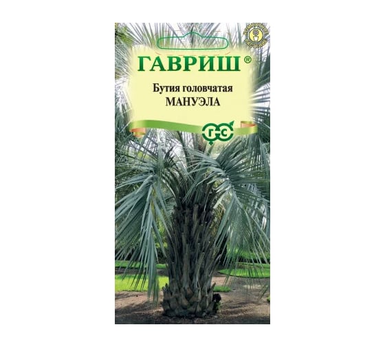 Бутия ГАВРИШ головчатая Мануэла 3 шт. Н21 1026998887 1