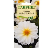Георгина ГАВРИШ Фигаро белая 7 шт. Н23 1071860792