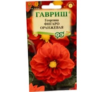 Георгина ГАВРИШ Фигаро оранжевая 7 шт. Н23 1071860790
