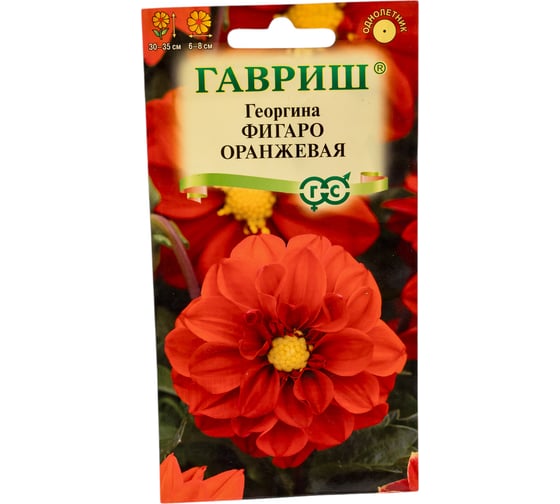 Георгина ГАВРИШ Фигаро оранжевая 7 шт. Н23 1071860790