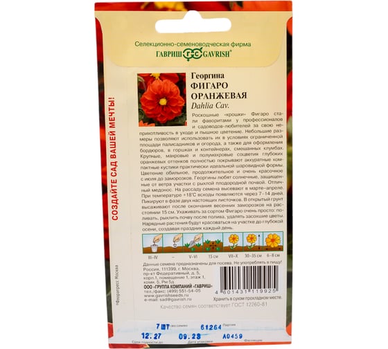 Георгина ГАВРИШ Фигаро оранжевая 7 шт. Н23 1071860790