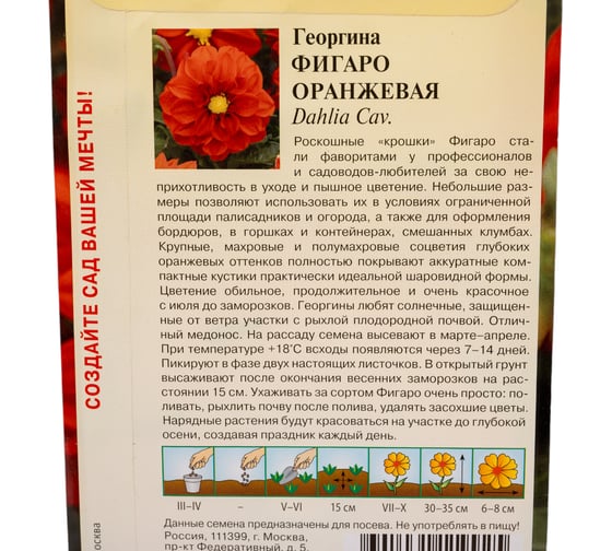 Георгина ГАВРИШ Фигаро оранжевая 7 шт. Н23 1071860790