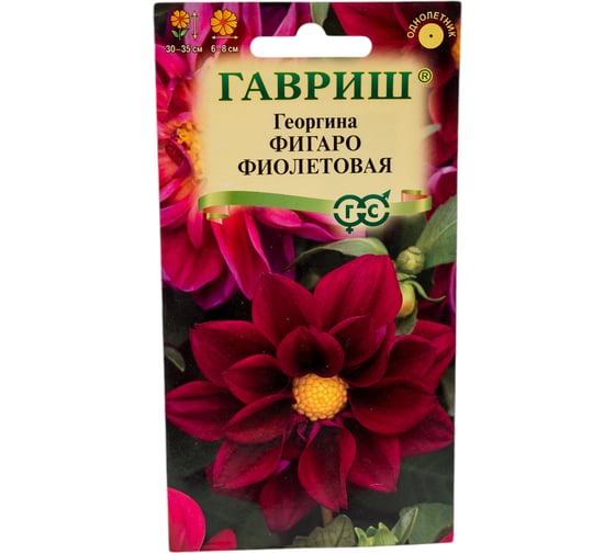 Георгина ГАВРИШ Фигаро фиолетовая 7 шт Н23 1071860791