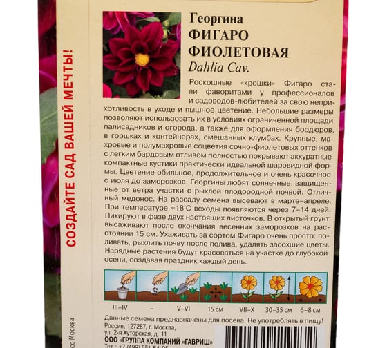 Георгина ГАВРИШ Фигаро фиолетовая 7 шт Н23 1071860791