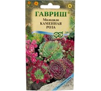 Молодило ГАВРИШ Каменная Роза_ 0,01 г серия Альпийская горка 4601974