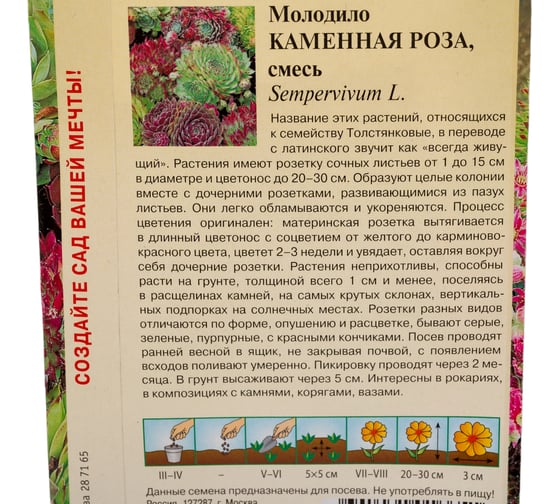 Молодило ГАВРИШ Каменная Роза_ 0,01 г серия Альпийская горка 4601974