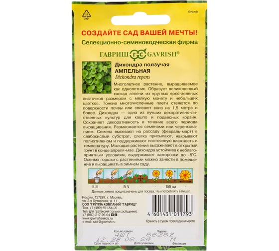 Дихондра ГАВРИШ Ампельная_ 4 шт. 1071857672