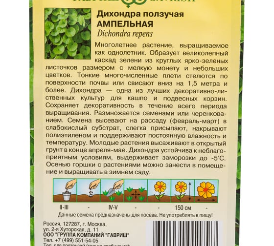 Дихондра ГАВРИШ Ампельная_ 4 шт. 1071857672