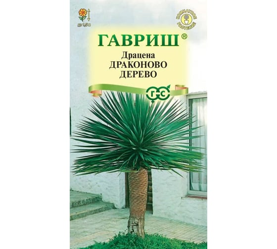Драцена ГАВРИШ Драконово Дерево 3 шт. 4601936