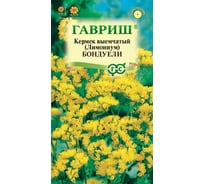 Кермек (Лимониум) выемчатый Бондуели_ 0,05 г ГАВРИШ 10000663