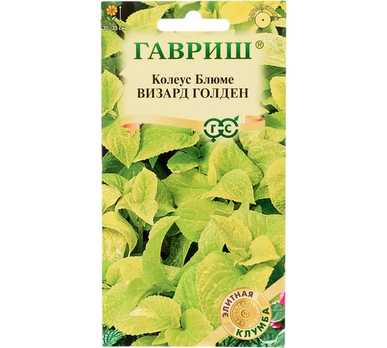Колеус Визард Голден_ 4 шт. Элитная клумба ГАВРИШ 1071857910 1