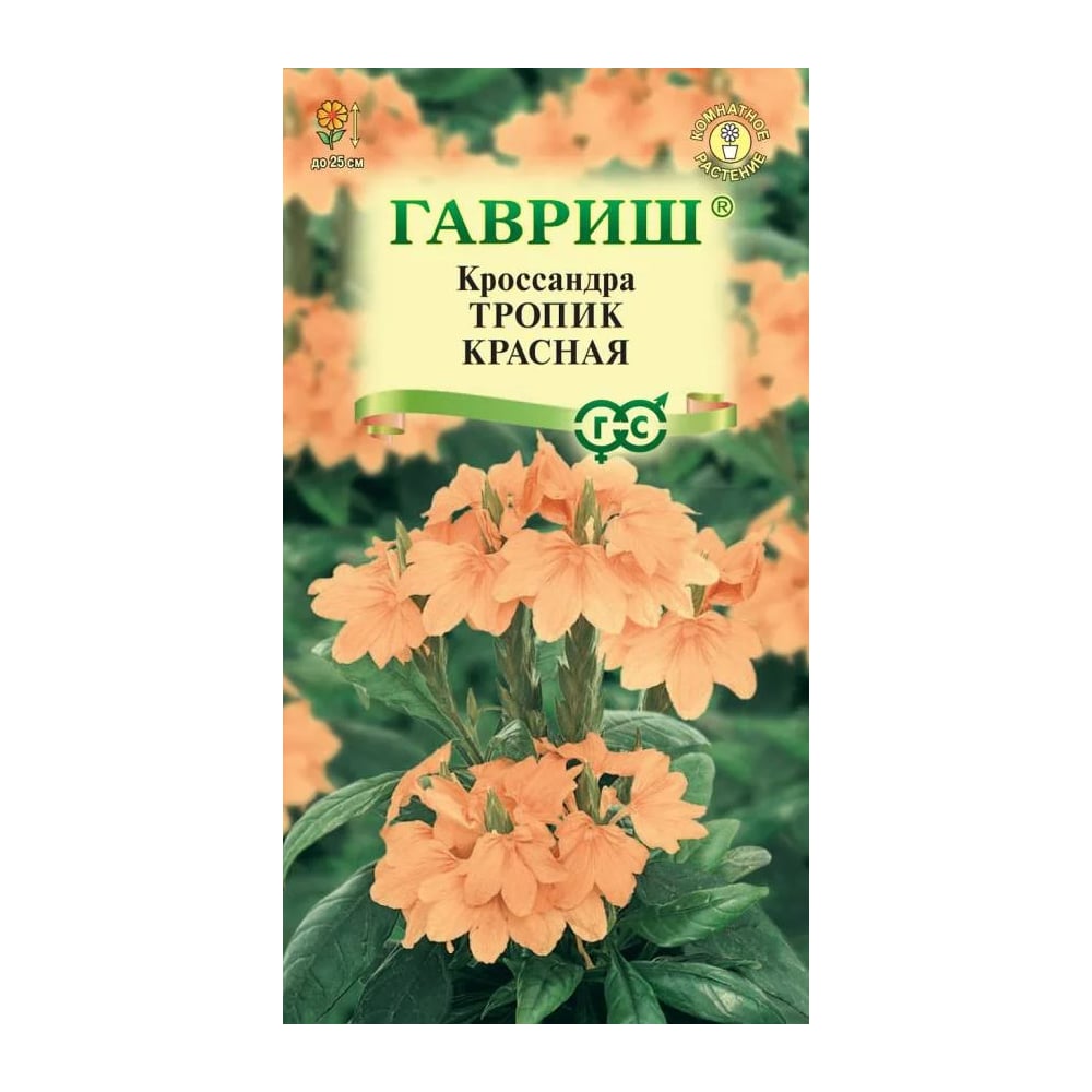 Кроссандра ГАВРИШ Тропик красная_ 3 шт. серия Элитная клумба 10000049 ...