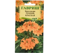 Кроссандра ГАВРИШ Тропик красная_ 3 шт. серия Элитная клумба 10000049