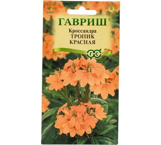 Кроссандра ГАВРИШ Тропик красная_ 3 шт. серия Элитная клумба 10000049 1