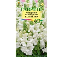 Антирринум (Львиный зев) ГАВРИШ Белый лев 0,05 г, серия Русский богатырь Н22 1071856896