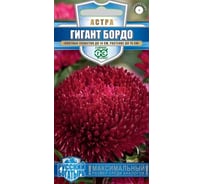 Астра ГАВРИШ Гигант бордо, однолетняя_ 0,05 г (игольчато-коготковая) серия Русский богатырь 1071856730
