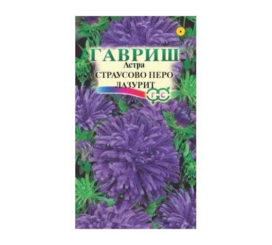 Астра ГАВРИШ Страусово перо Лазурит, однолетняя 0,3 г 10000541 1