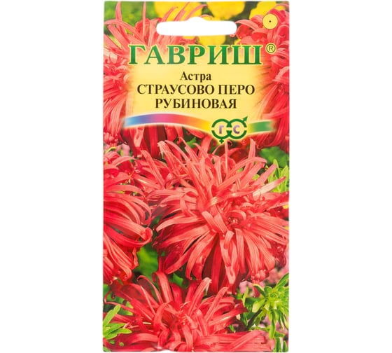 Астра ГАВРИШ Страусово перо рубиновая, однолетняя 0,3 г 10001666 1