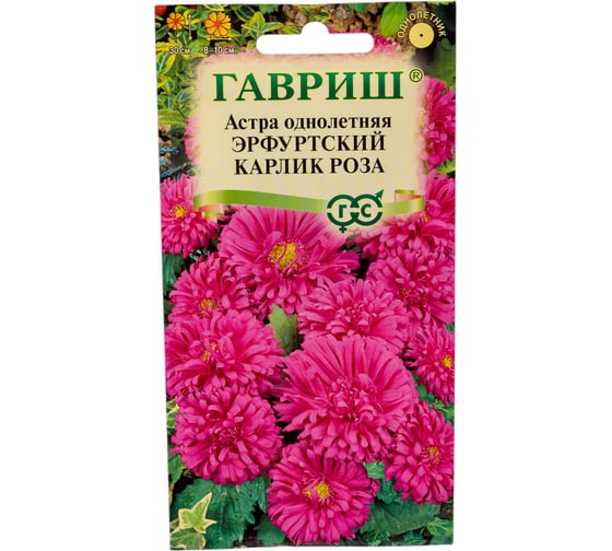 Астра ГАВРИШ Эрфуртский карлик Роза, однолетняя,0,3 г 00001723 1