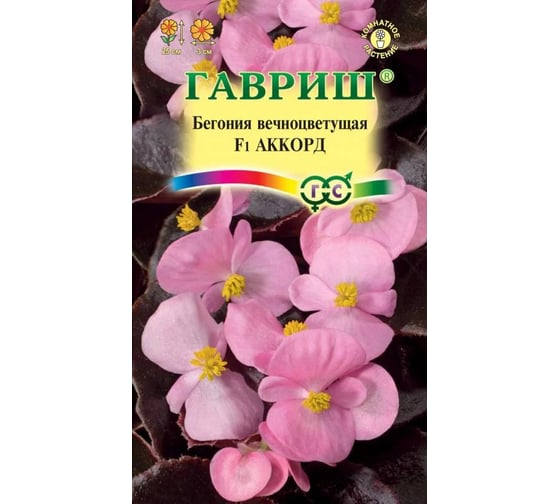 Бегония ГАВРИШ Аккорд F1 вечноцв. гранул. 4 шт. пробирка 1071857184 1