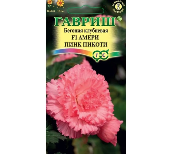 Бегония ГАВРИШ Амери пинк пикоти F1 клубневая гранул. 4 шт. пробирка Н23 1071854299 1