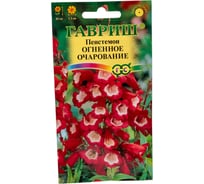 Пенстемон гибридный ГАВРИШ Огненное очарование_ 0,1 г 19102069
