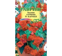 Бегония ГАВРИШ Кармен F1 клубневая, амп. гранул. 5 шт. пробирка 4602063