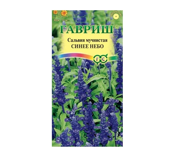 Сальвия ГАВРИШ Синее небо мучнистая_ 0,05 г 005082