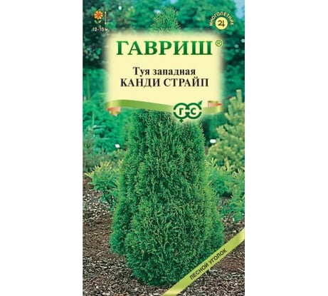 Туя ГАВРИШ западная Канди Страйп 0,05 г 005215
