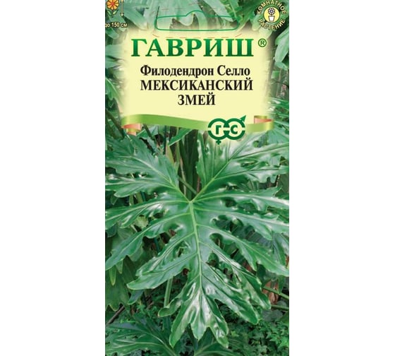 Филодендрон ГАВРИШ Селло Мексиканский змей 5 шт. 1910563 1