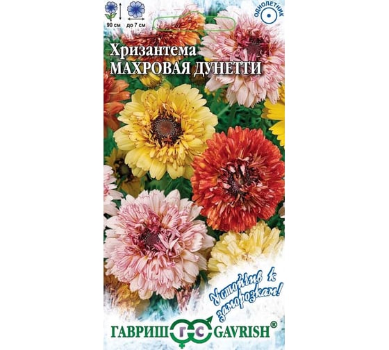 Хризантема ГАВРИШ Дунетти (махровая) 0,5 г. серия Устойчив к заморозкам_ 10006917