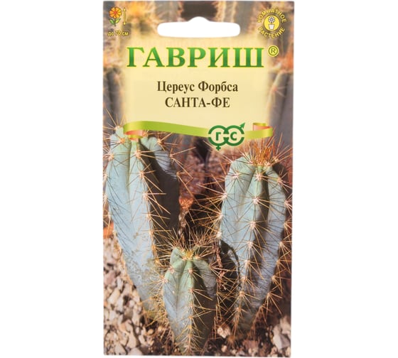 Цереус ГАВРИШ Форбса (Кактус) Санта-Фе_ 4 шт. Н20 1071858310