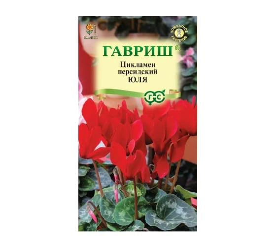 Цикламен ГАВРИШ Юля персидский _ 3 шт. 001193 1