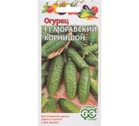 Огурец ГАВРИШ Моравский корнишон F1 0,5 г 10006050