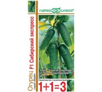 Огурец ГАВРИШ Сибирский экспресс F1 серия 1+1/20 шт.автор. 1071863465