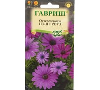 Остеоспермум Пэшн роуз 3 шт. Н23 ГАВРИШ 1071854182