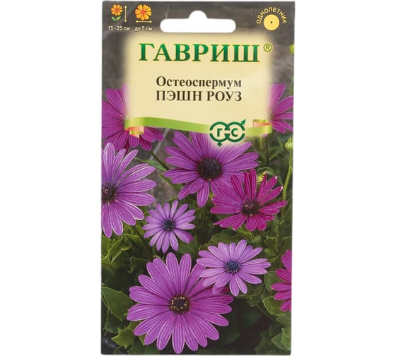 Остеоспермум Пэшн роуз 3 шт. Н23 ГАВРИШ 1071854182 1