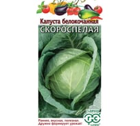 Капуста белокочанная ГАВРИШ Скороспелая 0.5 г (ранняя) Н24 1071862957