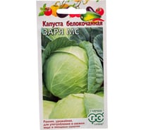 Капуста белокочанная ГАВРИШ Заря МС 0.5 г (ранняя) Н24 1071862951