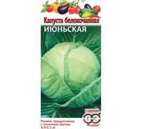 Капуста белокочанная ГАВРИШ Июньская 0.5 г (ранняя) 000251