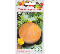 Тыква ГАВРИШ Янтарная мускатная 1 г Н24 1071861005