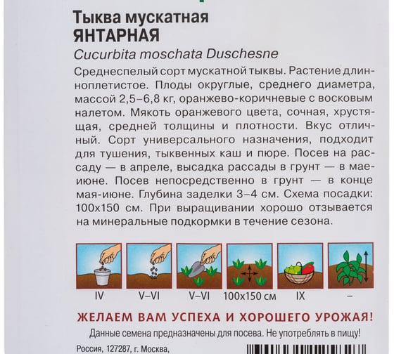 Тыква ГАВРИШ Янтарная мускатная 1 г Н24 1071861005
