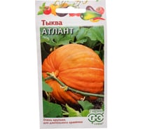 Тыква ГАВРИШ Атлант 2 г Н24 1071859909