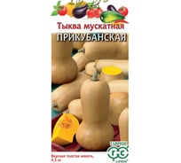 Тыква ГАВРИШ Прикубанская, мускатная 1 г 10711656