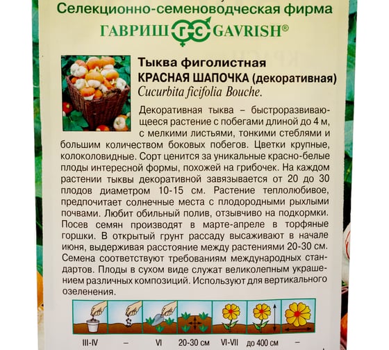 Тыква ГАВРИШ декоративная Красная шапочка, чалмовидная, 3 шт. 191021509