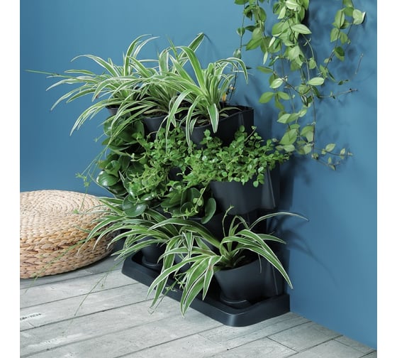 Вертикальный сад Prosperplast CASCADE GARDEN чёрный IO2W600S-S433