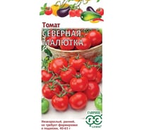 Томат ГАВРИШ Северная малютка 0.05 г Н16 1071856952